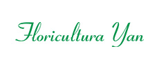 Floricultura Yan